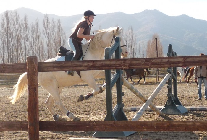 Photo de profil de carlinee