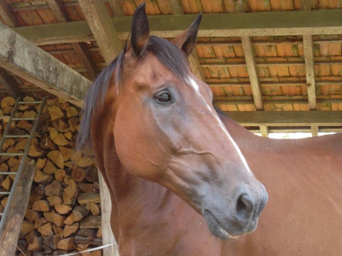 Photo de profil de cassidydesir