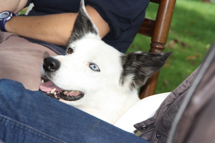 Photo de profil de ceroge