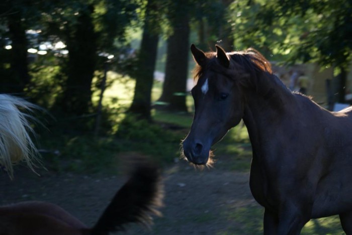 Photo de profil de charline21