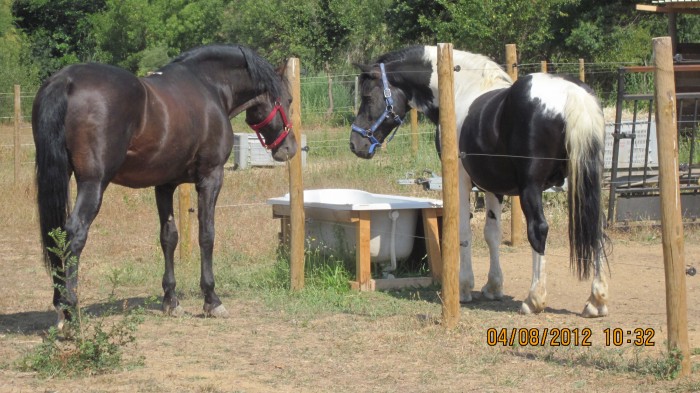 Photo de profil de chevicky34