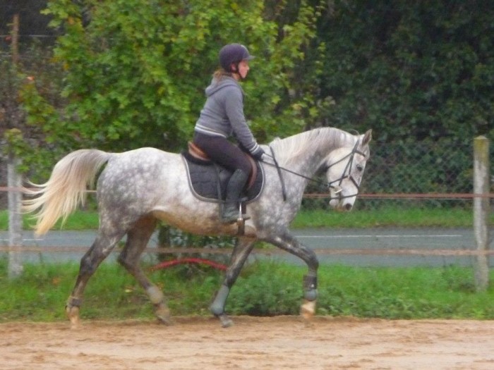 Photo de profil de chloetigris