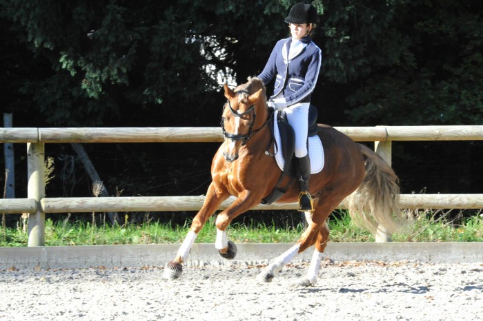 Photo de profil de clara.f.