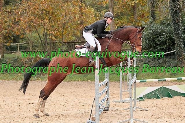 Photo de profil de clemou4