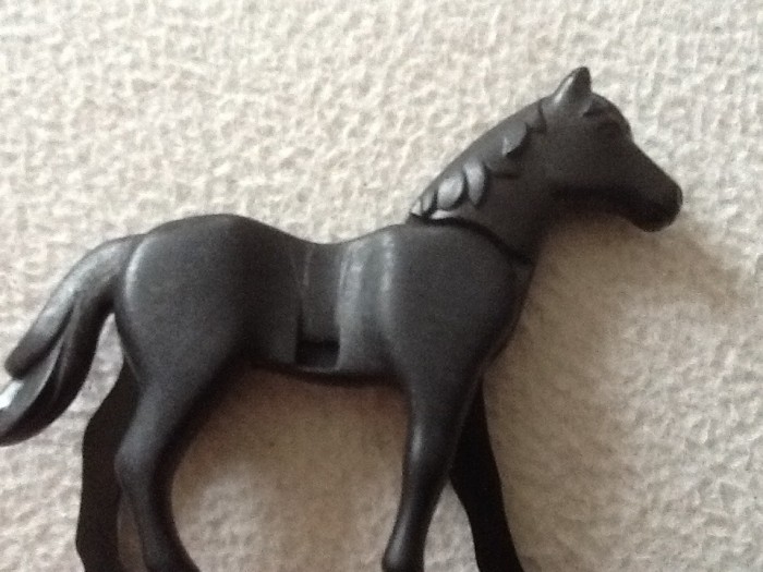 Photo de profil de coco38cheval