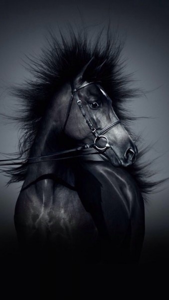 Photo de profil de coline1401