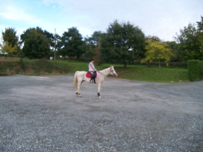 Photo de profil de constance79