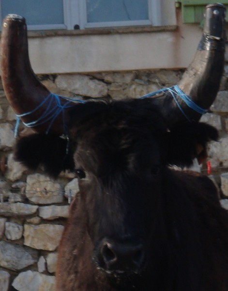 Photo de profil de courttom4