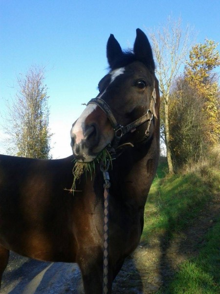 Photo de profil de cyndy62172