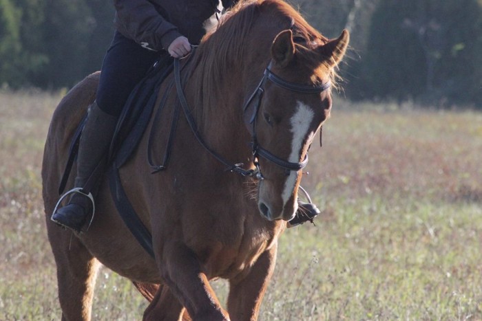 Photo de profil de debdebby