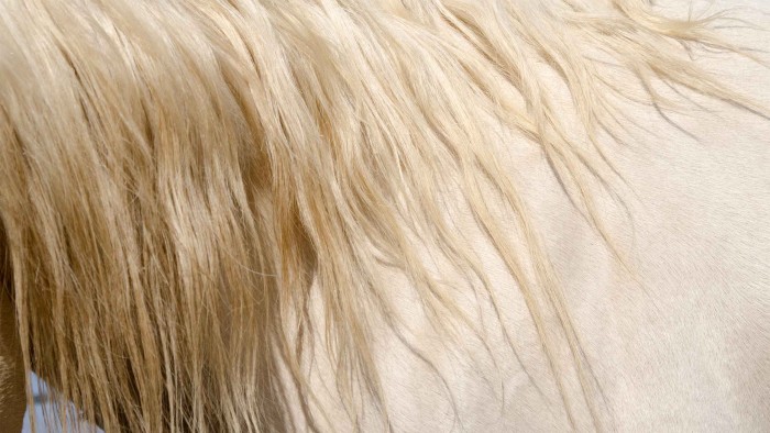 Photo de profil de d_ivoire