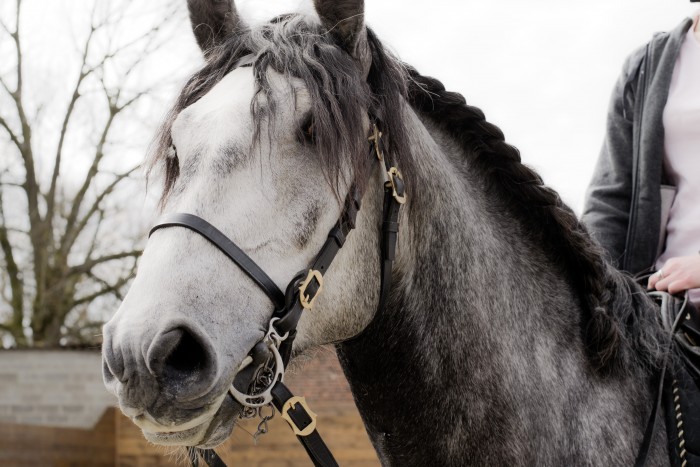 Photo de profil de dolly51