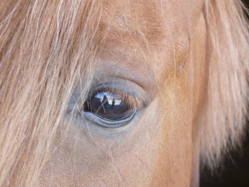 Photo de profil de egline.bot