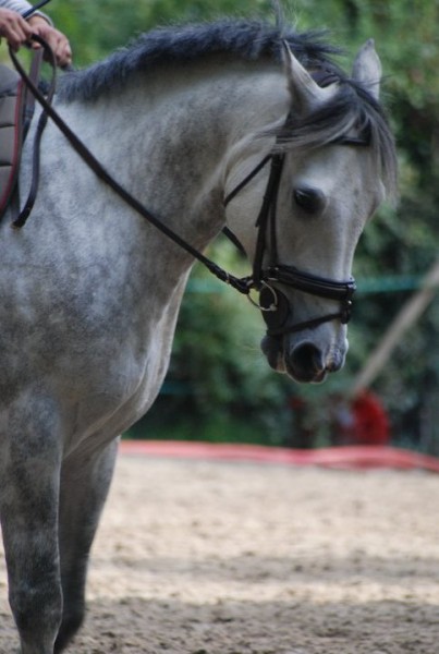 Photo de profil de elga81