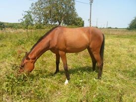 Photo de profil de elodiem