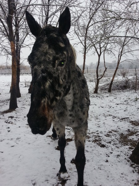 Photo de profil de elowdiiie