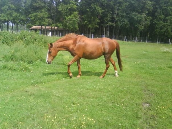 Photo de profil de emilie3330