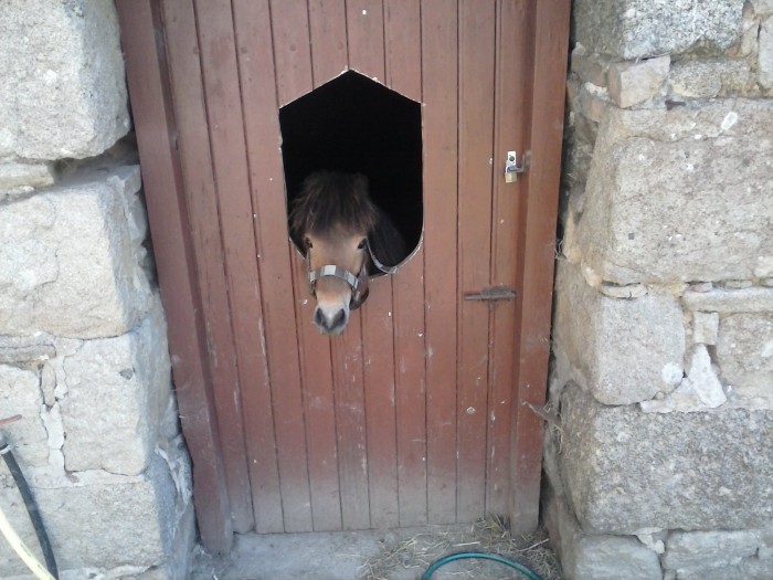 Photo de profil de emiliezed