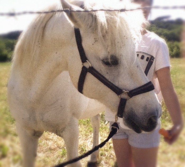 Photo de profil de emma1708