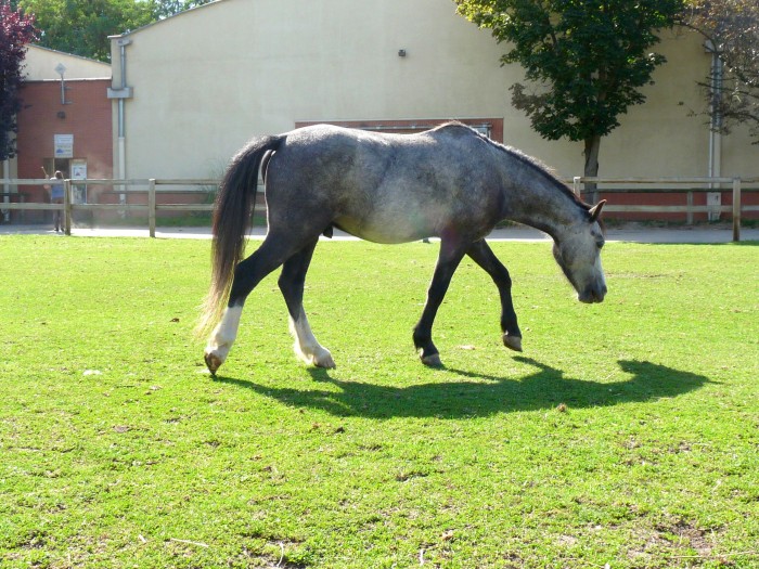 Photo de profil de equipassions