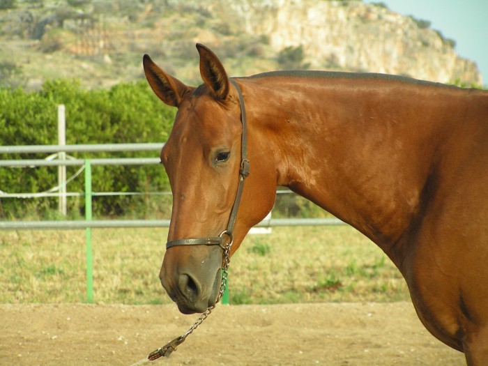 Photo de profil de esteban44