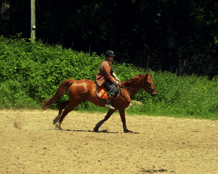 Photo de profil de ethospirit