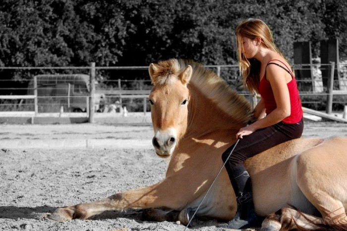 Photo de profil de evadonja