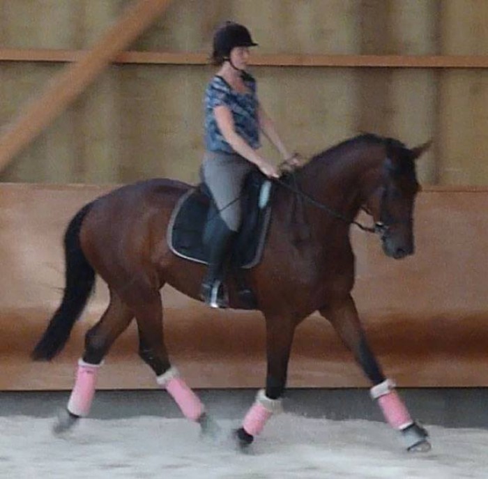 Photo de profil de everest77