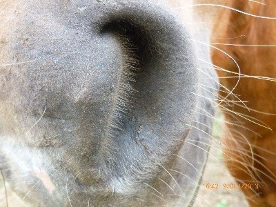 Photo de profil de fanadada