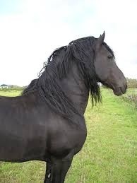 Photo de profil de fflloo40