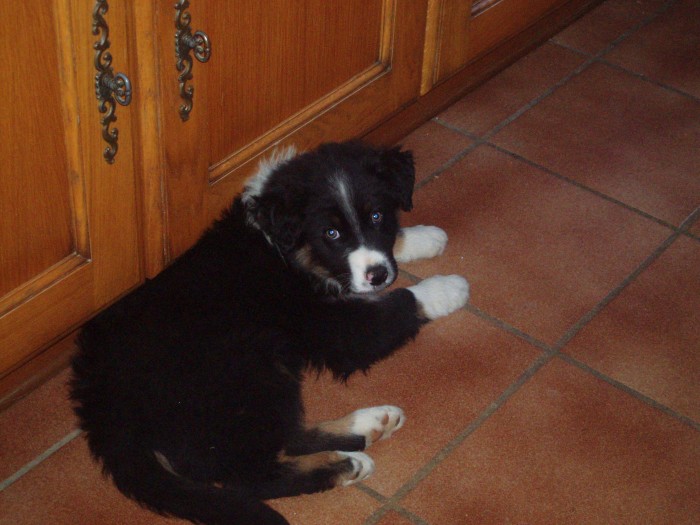 Photo de profil de gaomanoune