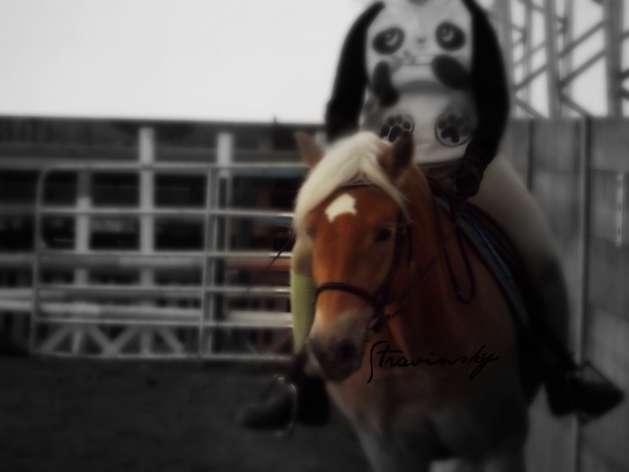 Photo de profil de got_ponies