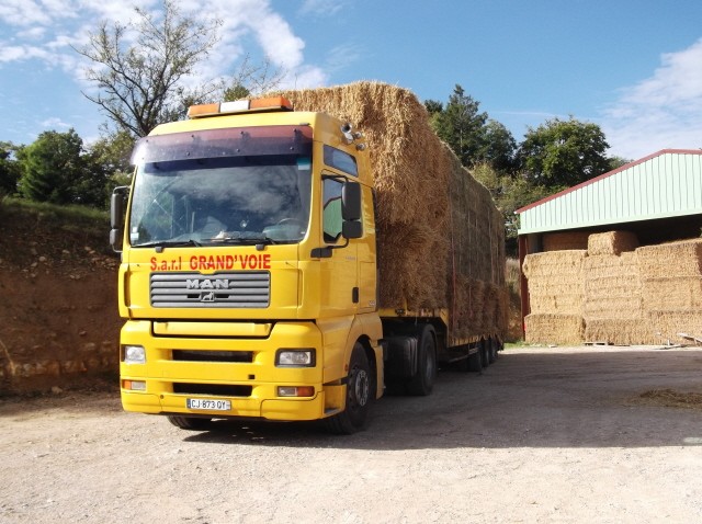 Photo de profil de grandvoie