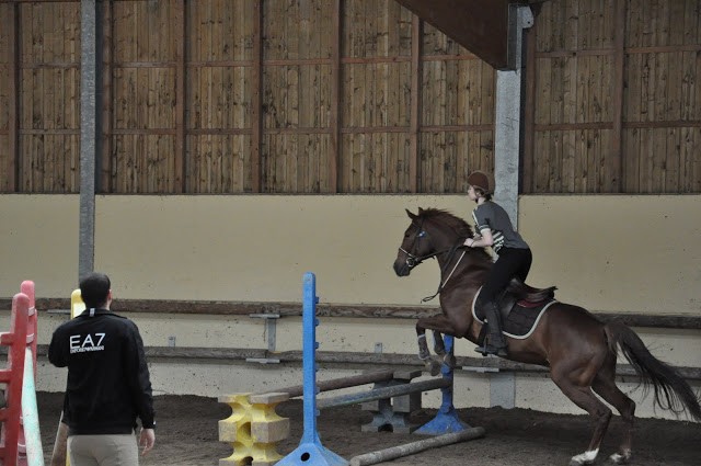 Photo de profil de greenblood