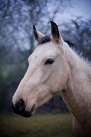 Photo de profil de h2o69