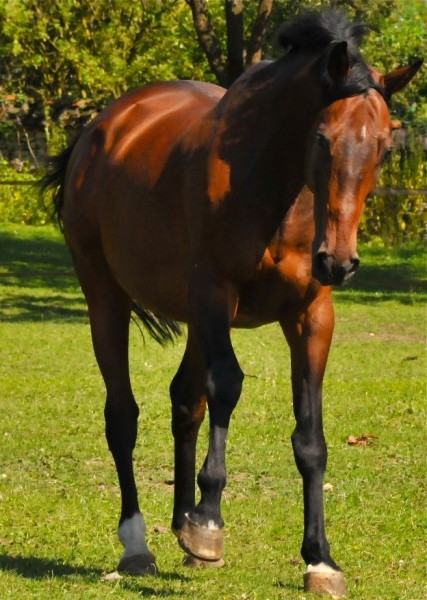 Photo de profil de ioleto