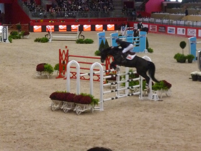 Photo de profil de jeune_cavaliere