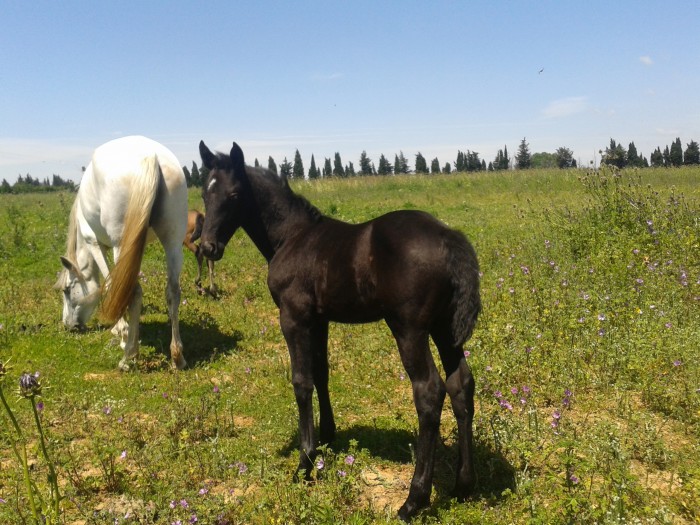 Photo de profil de joaquim