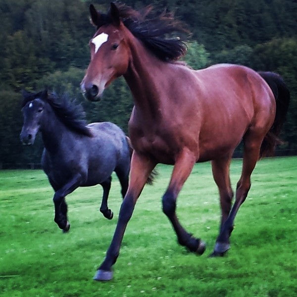 Photo de profil de jojohanna