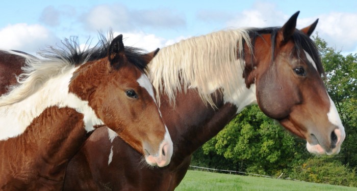 Photo de profil de juju12