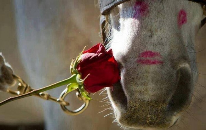 Photo de profil de jujuequi