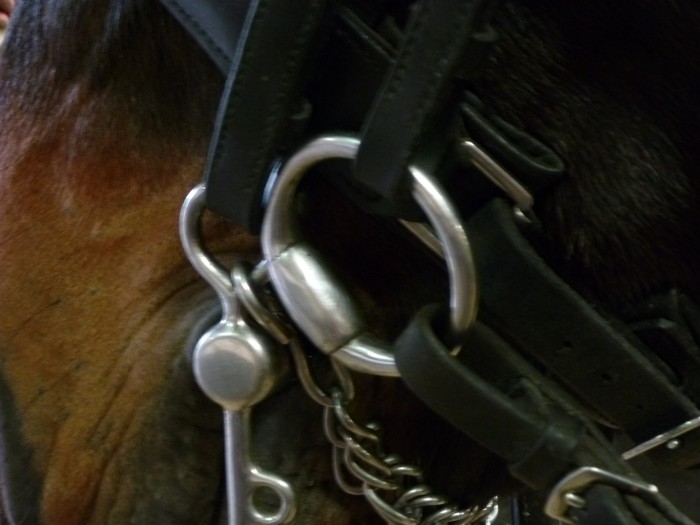 Photo de profil de juliettevet