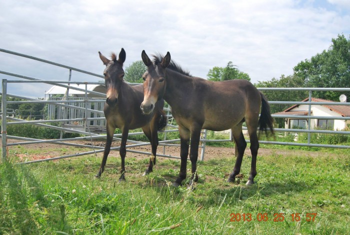 Photo de profil de kimmoraud