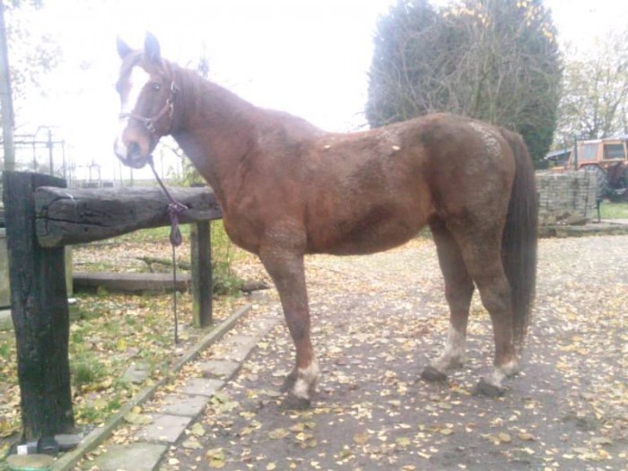 Photo de profil de labelgikaine