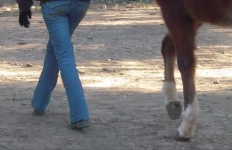 Photo de profil de laetitia81