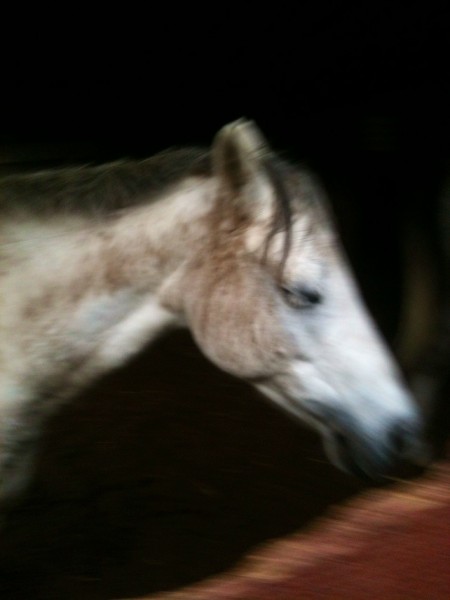 Photo de profil de lalilo