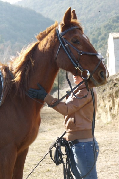 Photo de profil de laura18