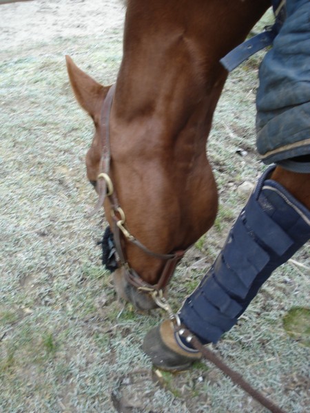 Photo de profil de laurahug