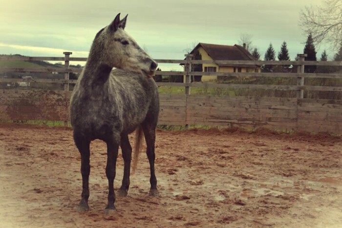 Photo de profil de laura_tania