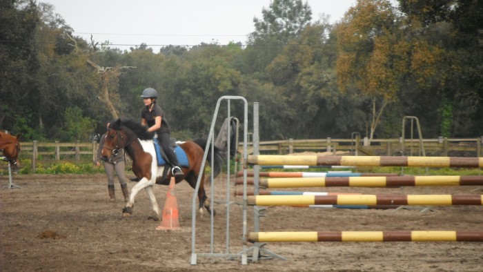 Photo de profil de lisalune